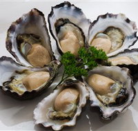 Tathra Oysters - Accommodation in Brisbane