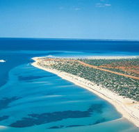 Monkey Mia - Accommodation in Brisbane