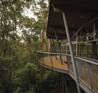 Tarkine Forest Adventures - Dismal Swamp - Accommodation in Brisbane