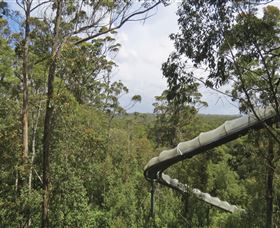 Tarkine Forest Adventures - Dismal Swamp - Accommodation in Brisbane 1