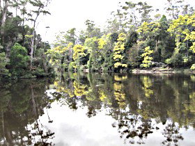 Arthur River TAS Accommodation in Brisbane