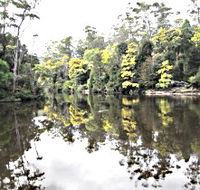 Arthur River - Accommodation in Brisbane