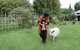 Djanbung Permaculture Gardens - thumb 7