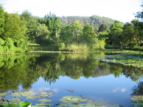 Djanbung Permaculture Gardens - Accommodation in Brisbane 10