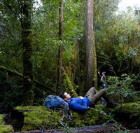 The Tarkine Drive - Accommodation in Brisbane