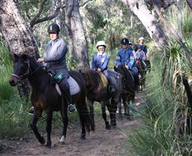 Mirravale Horse Riding School - Accommodation in Brisbane 0