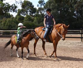 Mirravale Horse Riding School - Accommodation in Brisbane 1