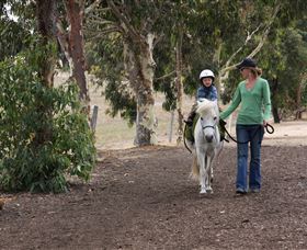 Mirravale Horse Riding School - Accommodation in Brisbane 2