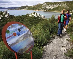 Rocky Cape TAS Accommodation in Brisbane