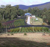 Motton Terraces - Accommodation in Brisbane