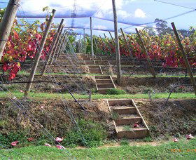 Motton Terraces - Accommodation in Brisbane 2