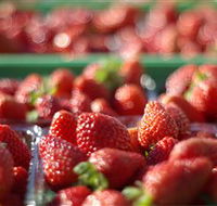 Turners Beach Berry Patch - Accommodation in Brisbane
