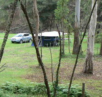 Goomburra Forest Retreat - Accommodation in Brisbane