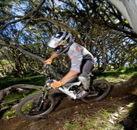 All Terrain Cycles - Accommodation in Brisbane