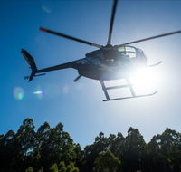 Tall Timbers Adventure Tours - Accommodation in Brisbane