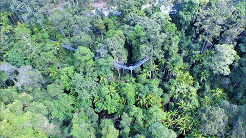 Southern Cross Day Tours Gold Coast - Accommodation in Brisbane 0