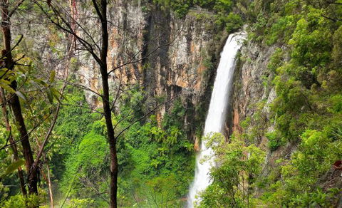 Southern Cross Day Tours Gold Coast - Accommodation in Brisbane 9