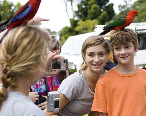 Southern Cross Day Tours Gold Coast - Accommodation in Brisbane 21