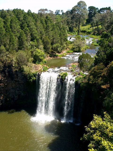 A1 Coffs Coast Tours - Accommodation in Brisbane 4