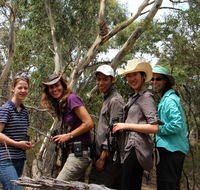 Echidna Walkabout Nature Tours - Accommodation in Brisbane