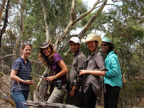 Echidna Walkabout Nature Tours - Accommodation in Brisbane 2