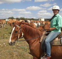 Myella Farm Stay Tours - Accommodation in Brisbane
