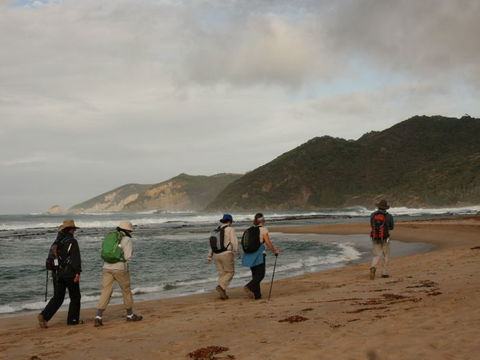 Hedonistic Hiking - Accommodation in Brisbane 2