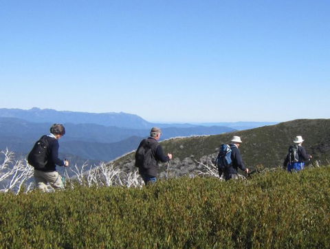 Hedonistic Hiking - Accommodation in Brisbane 6