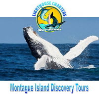 Lighthouse Charters Narooma - Accommodation in Brisbane