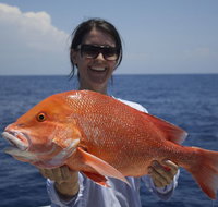 Absolute Ocean Charters - Accommodation in Brisbane