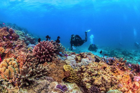 Sunreef Mooloolaba - Accommodation in Brisbane 7