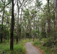 Caboolture Regional Environment Education Centre - Walking Trails - Accommodation in Brisbane