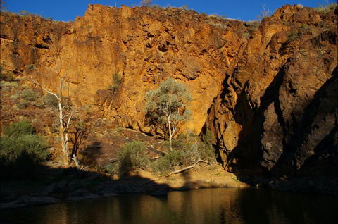 Aussie Heritage Tours - Accommodation in Brisbane 8