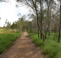 Billai dhagun Circuit Place of She-Oaks - Accommodation in Brisbane