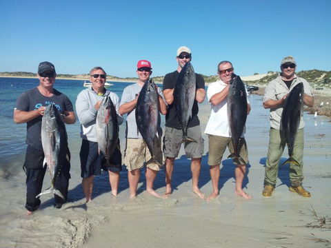 Reef Encounters Fishing Charters. - Accommodation in Brisbane 10