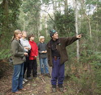 Great Western Tiers Forest Walks Tasmania - Accommodation in Brisbane