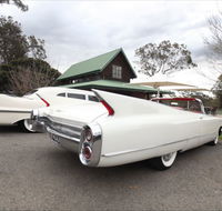 Hunter Valley Cadillacs - Accommodation in Brisbane
