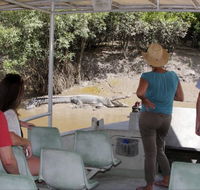Whitsunday Crocodile Safari - Accommodation in Brisbane
