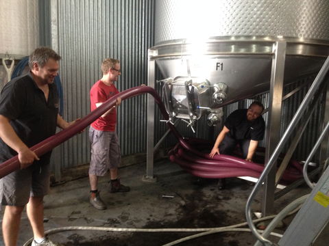 La Prova Wines - Accommodation in Brisbane 2