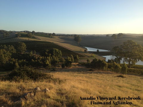La Prova Wines - Accommodation in Brisbane 3