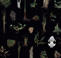 Weswal Gallery - Accommodation in Brisbane