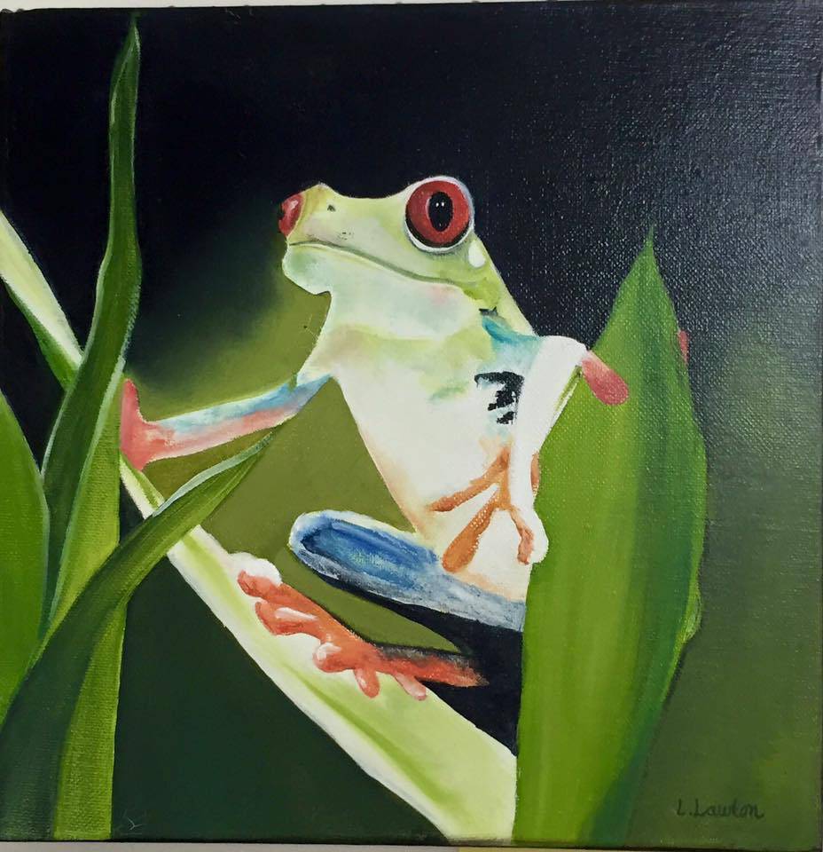 Gorokan NSW Accommodation in Brisbane