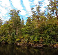 A R Reflections River Cruises - Accommodation in Brisbane