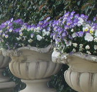 Gardenalia Open Garden and Rare Plant Nursery - Accommodation in Brisbane