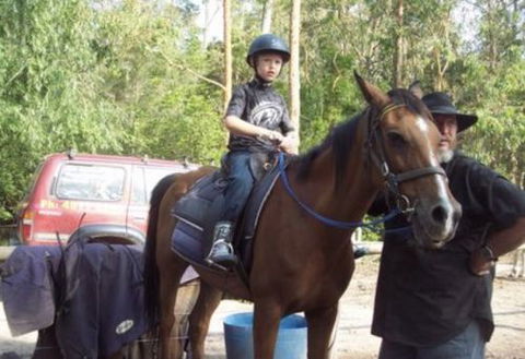 AAA Horse Riding & More - Accommodation in Brisbane 1