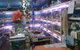 Summerland Aquarium - thumb 3