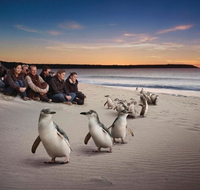 Down Under Thrills - Accommodation in Brisbane