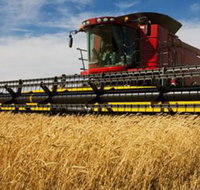 Quirindi Grain and produce - Accommodation in Brisbane