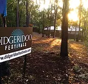 Didgeridoo Jam in the Park - Accommodation in Brisbane
