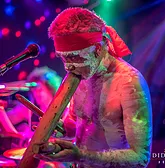 Didgeridoo Jam In The Park - Accommodation in Brisbane 1